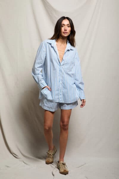 PERFECT WHITE TEE-AVALON PACIFIC BLUE STRIPE SHIRT