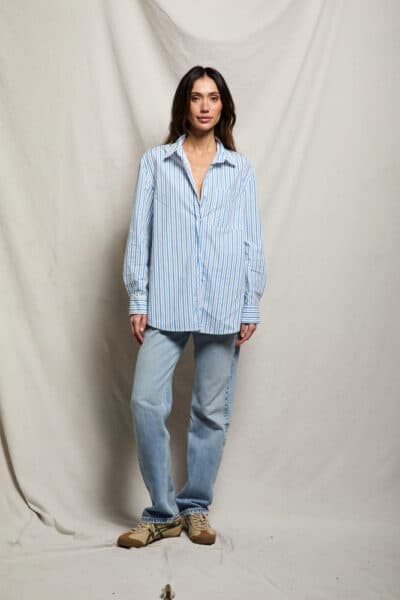 PERFECT WHITE TEE-AVALON PACIFIC BLUE STRIPE SHIRT